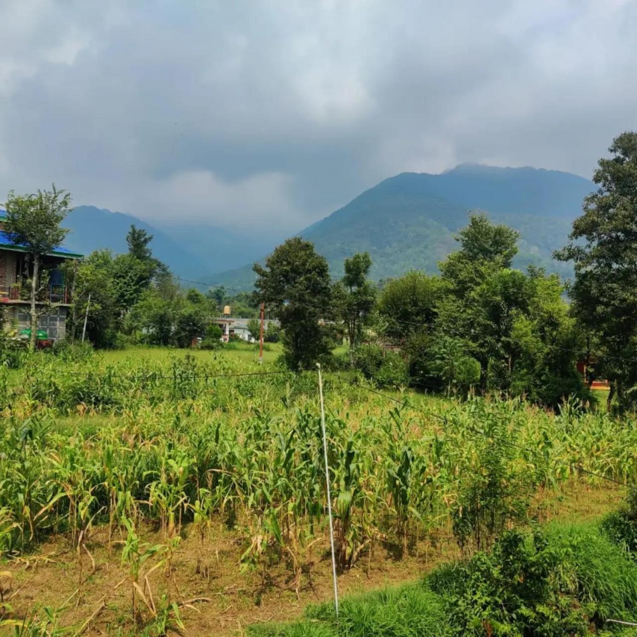 Aditya Homestay Bir-Billing Surrounded By Mountains Zewnętrze zdjęcie
