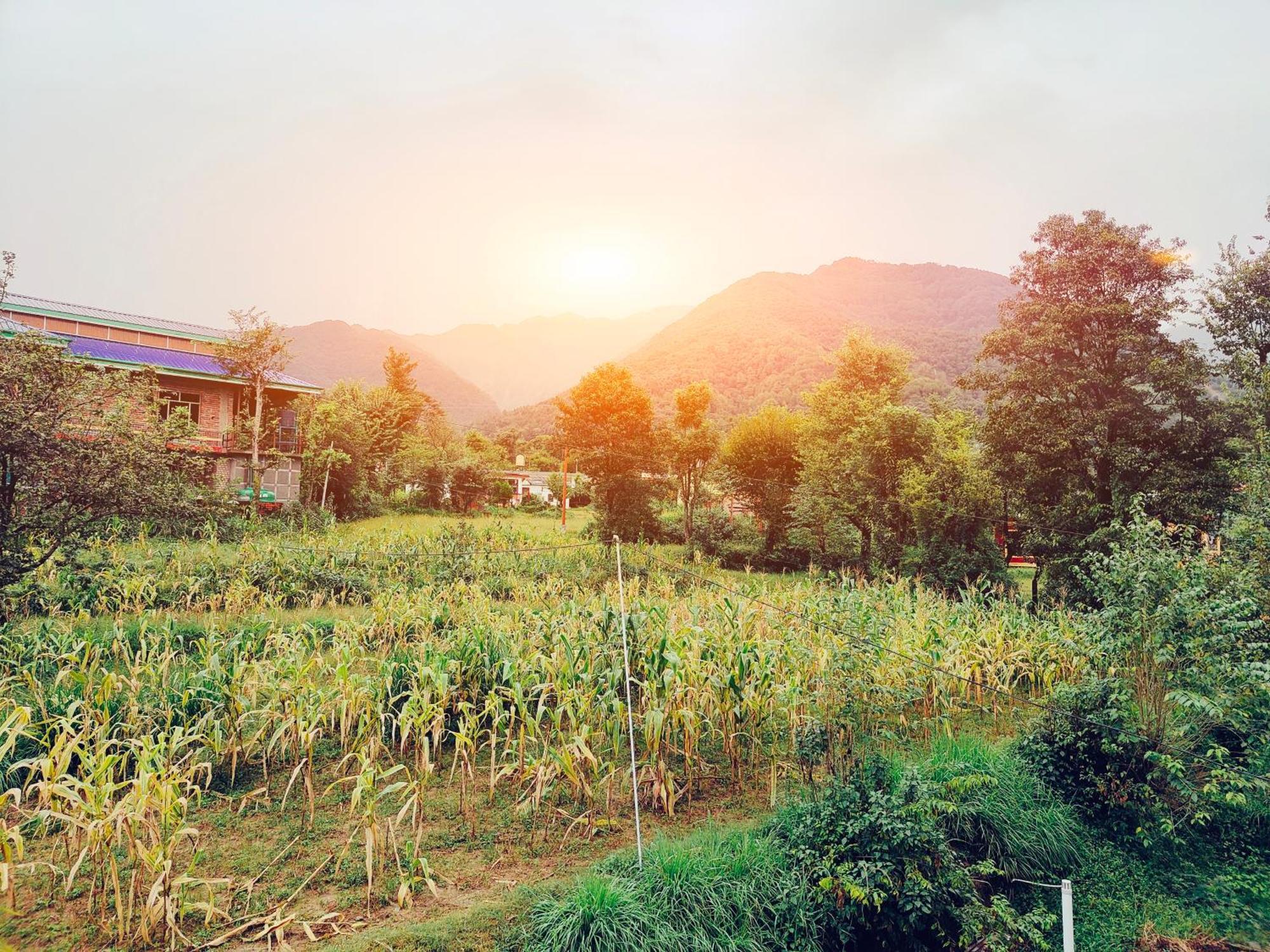 Aditya Homestay Bir-Billing Surrounded By Mountains Zewnętrze zdjęcie